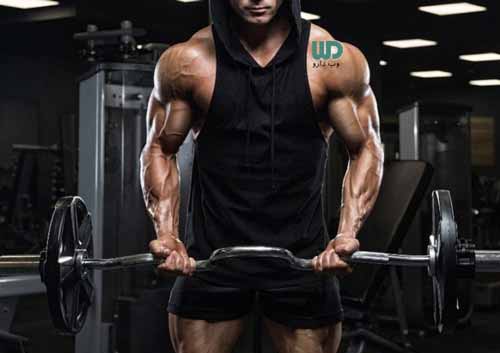 افزایش قدرت عضله ها با مصرف پروتئین وی