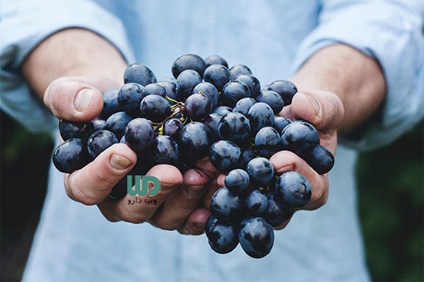 انگور، از میوه های موثر در کاهش التهاب های کلیوی