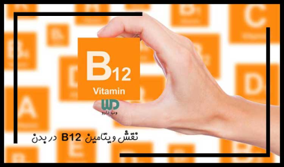نقش ویتامین B12 در بدن